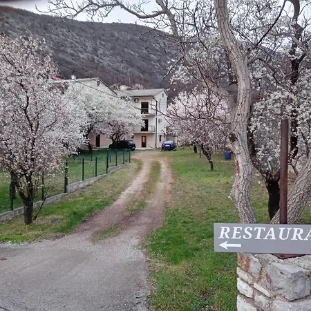 Vedo Senj (Lika-Senj)